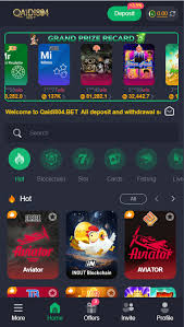 QAIDI804 game