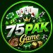 75pak game logo