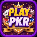 playpkr logo
